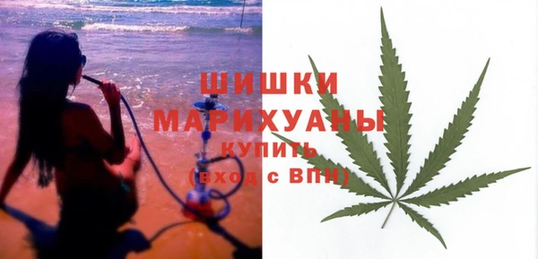 2c-b Горнозаводск