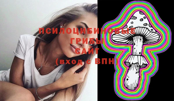 таблы Горняк