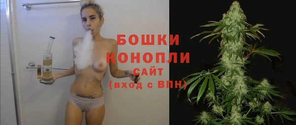 2c-b Горнозаводск