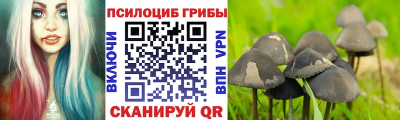 Купить где  Шилка  Псилоцибиновые грибы ЛСД 